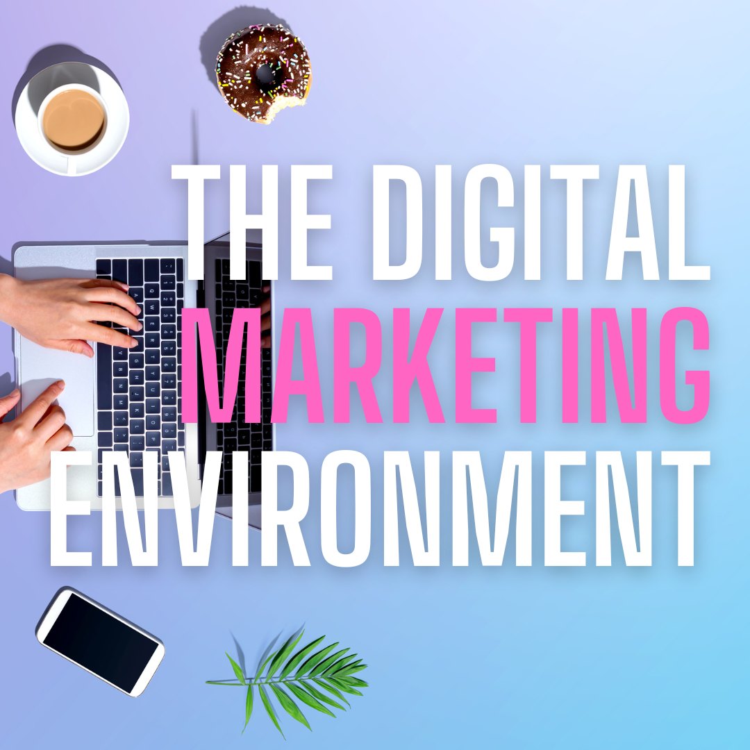 Understanding the Digital Marketing Environment Joel Villarini